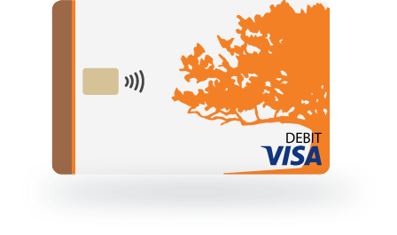 visa debit card